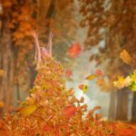 autumn-4603470_1920