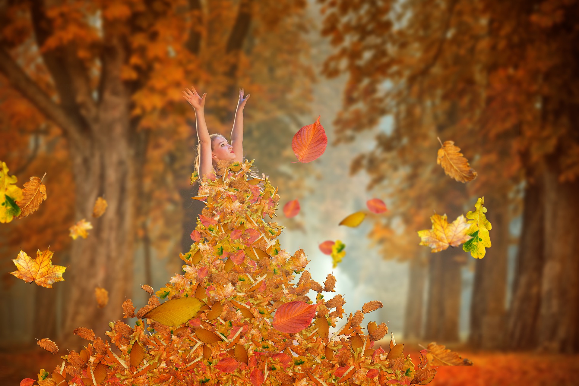 autumn-4603470_1920